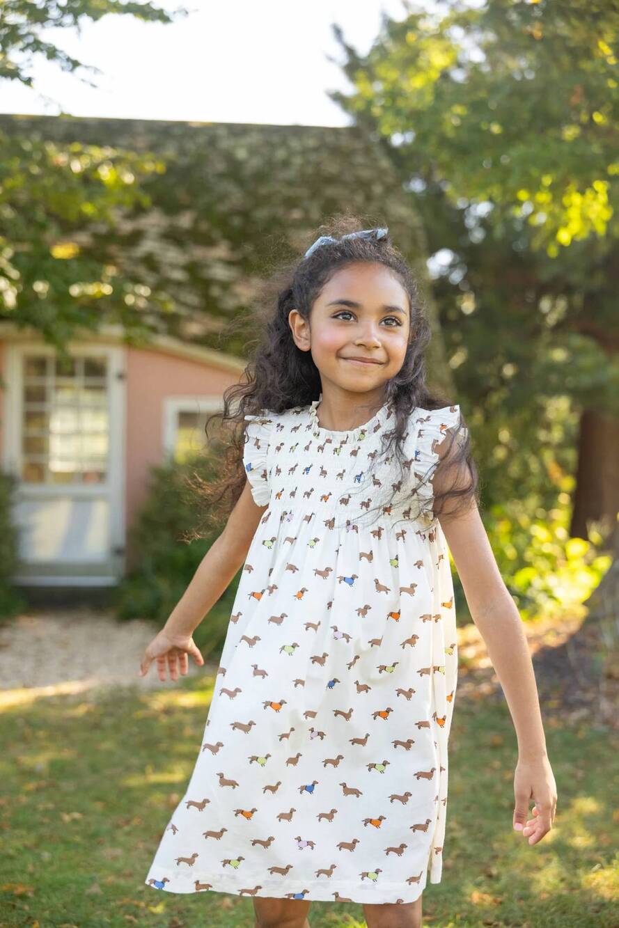 NEW PINK CHICKEN girls everly dress in dachshunds in sweaters